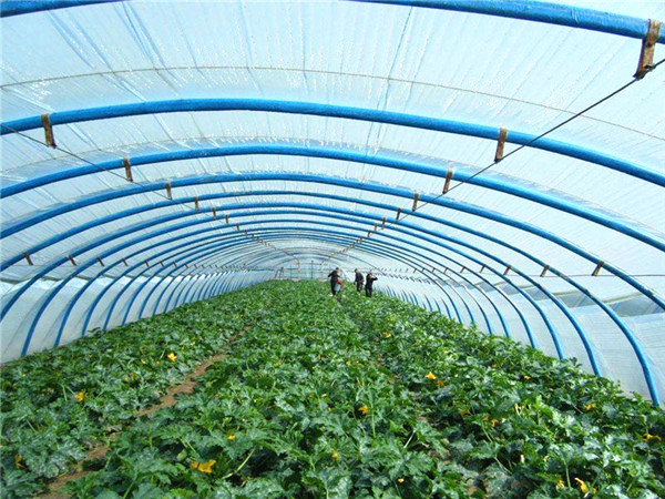 5e6af48b33779.jpg 5cff6d1508033.jpg